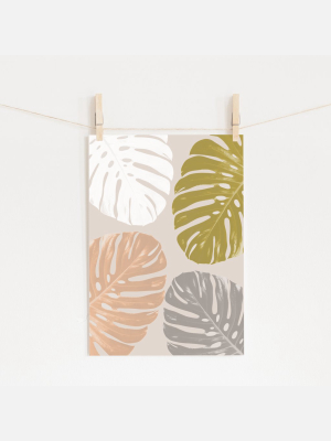 Leaf Play Monstera