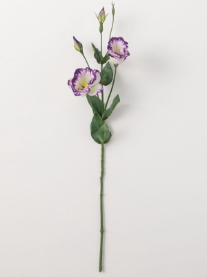 Sullivans Artificial Lisianthus Stem 28"h Purple Flowers