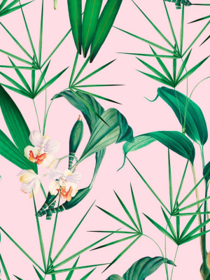 Palm Springs Wallpaper In Green And Pink From The Palm Springs Collection By Mind The Gap