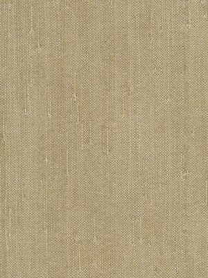 Alexey Grey Grasscloth Wallpaper From The Jade Collection By Brewster Home Fashions