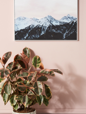 Pink Sky And Mountains In The Morning Wall Art