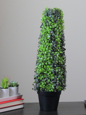 Northlight 25" Green And Black Potted Two-tone Boxwood Cone Artificial Topiary Tree