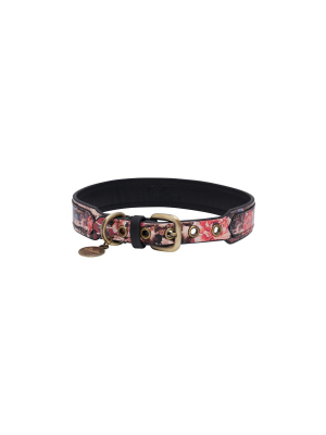 Printed Dog Collar Liv A Little