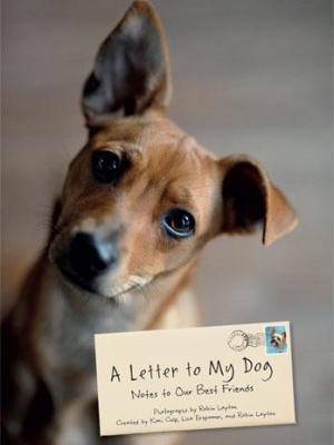 A Letter To My Dog