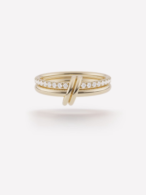 Ceres Deux Ring - Yellow Gold