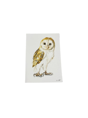 Barn Owl Print - 5 X 7