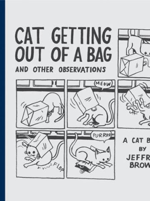 Cat Getting Out Of A Bag And Other Observations