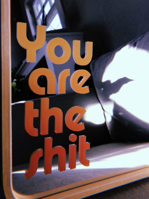 You Are The Shit Mirror Decal: Orange