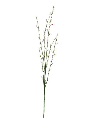 Vickerman 46" Fruit Branch With Cream Buds.