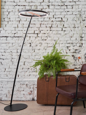 Sol Floor Lamp