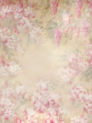 Shabby Fairy
