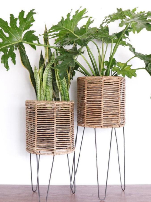 Seagrass Basket Planter On Iron Hairpin Base