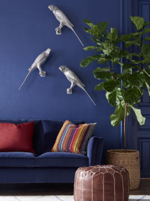Parrot Wall Art