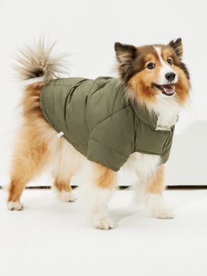 Abo Reversible Doggy Puffer Jacket