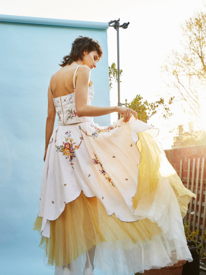 Their Medicine Embroidered Linen & Silk Organza Skirt