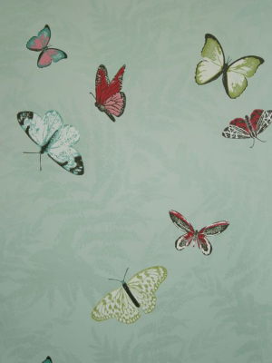 Sample Farfalla Wallpaper In Turquoise Background With Brilliantly Coloured Butterflies From The Lombardia Collection By Nina Campbell