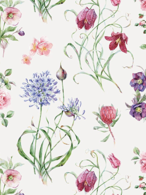 Botanical Wallpaper From The Wallpaper Republic Collection By Milton & King
