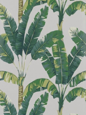 Sample Palmaria Wallpaper In Green From The Manarola Collection By Osborne & Little