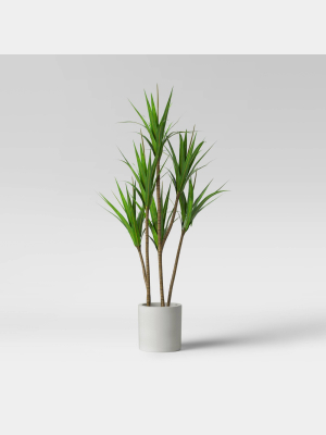 65" Dracaena Plant In Pot - Project 62™