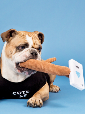 Bark Selfie Stick Dog Toy