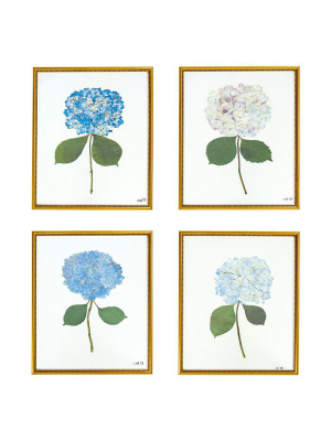 Single Hydrangea Set