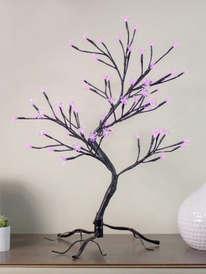 Northlight 25" Pre-lit Japanese Sakura Blossom Flower Artificial Tree - Pink And Purple Led Lights