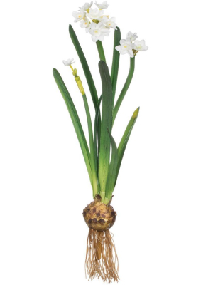 Sullivans Artificial Paperwhite With Bulb Stem 20"h White