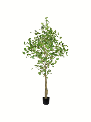 Vickerman Artificial Potted Ginkgo Tree.