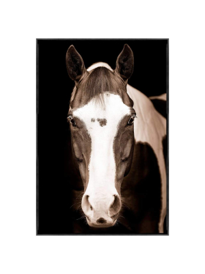 Blue Eye Horse Framed