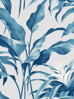 Palma Peel-and-stick Wallpaper In Blue Lagoon And Grey By Stacy Garcia For Nextwall