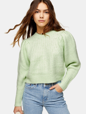 Petite Green Pleated Sleeve Cropped Knitted Sweater