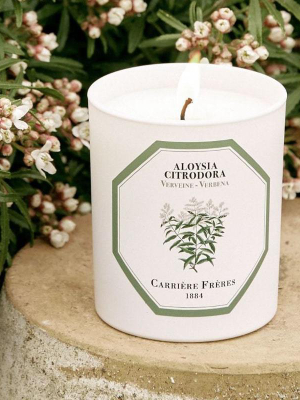 Verbena Candle