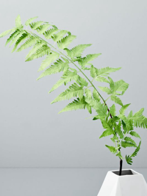 Faux Fern Plant Leaf - Small