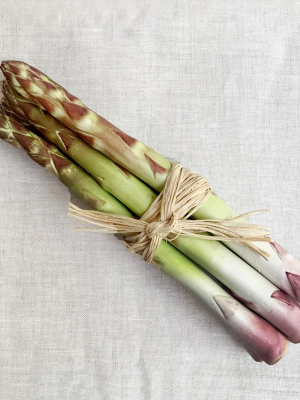 Porcelain Asparagus Bundle