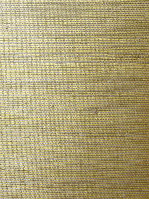 Sisal Grasscloth Wallpaper In Metallic Gold And Aloe From The Luxe Retreat Collection By Seabrook Wallcoverings