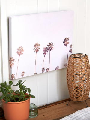 Deny Palm Tree Canvas Print