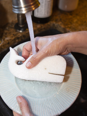 All Natural Scrub Sponges