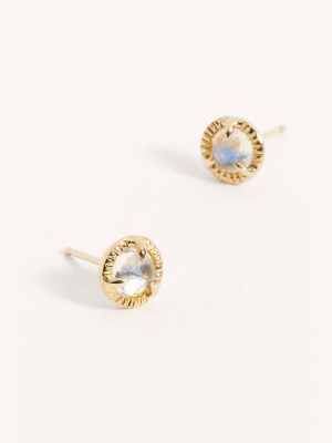 Halcyon 14k Swell Stud Earrings