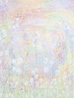 Rainbow Garden
