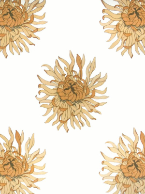 Anthemum Wallpaper In Amadeus By Abnormals Anonymous