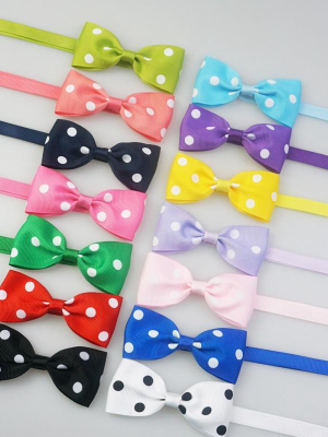 Spot-a-dog - Pet Bowties