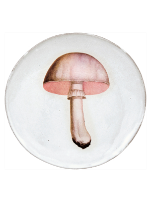 White Champignon Comestible Plate