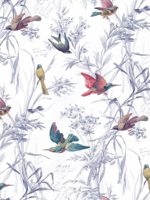 Birds Of Paradise Wallpaper In Mixed Berry From The Sanctuary Collection By Mayflower Wallpaper