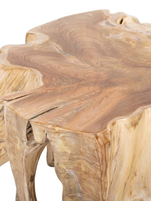 Cypress Root Coffee Table