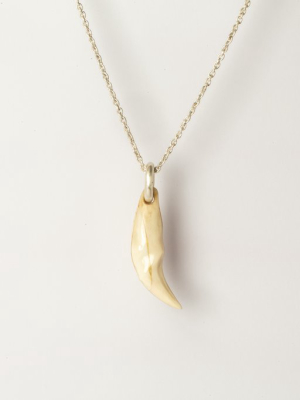 Bear Tooth Necklace Ghost (small, B+ma)