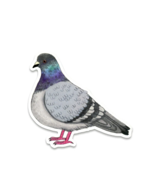 Pigeon Sticker