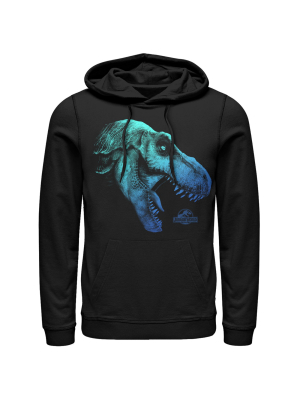 Men's Jurassic World: Fallen Kingdom Dino Nightmare Pull Over Hoodie