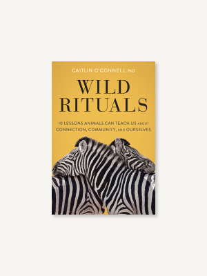 Wild Rituals