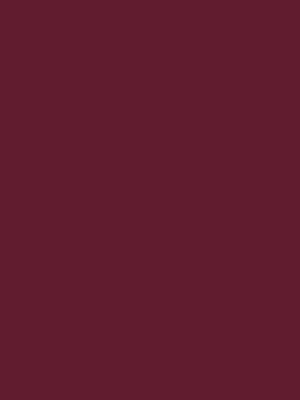 Bridesmaid Fabric Swatch ~ Merlot Chiffon