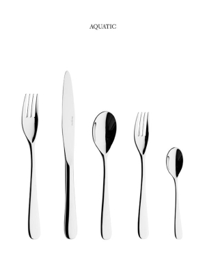 Aquatic 20 Piece Flatware Set